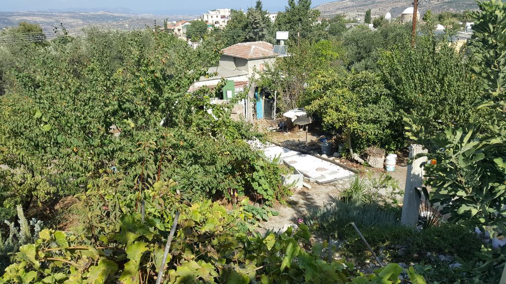 Faith'S Stone House Konuk evi Simou Dış mekan fotoğraf